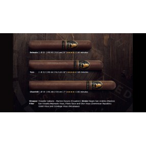 Davidoff Winston Churchill Late Hour Robusto 20er Kistchen