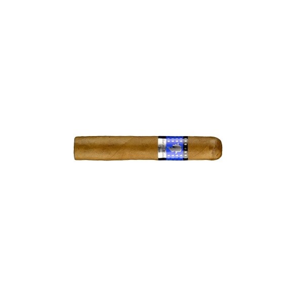 Gilbert de Montsalvat Classic Robusto 16 er Kiste Zigarren