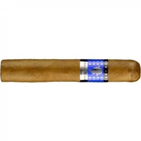 Gilbert de Montsalvat Classic Robusto 16 er Kiste Zigarren