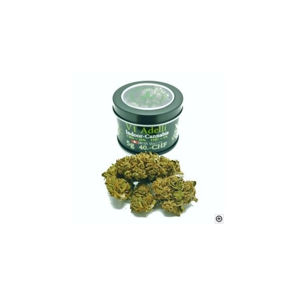 Bros CBD Buds V1 Adelli Haze Indoor 5g Bros CBD Buds V1 Adelli Haze Indoor 5g